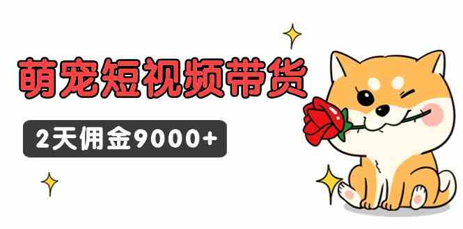 （9273期）东哲日记·萌宠短视频带货，2天佣金9000+速创网赚项目-副业赚钱-互联网创业-资源整合速创园