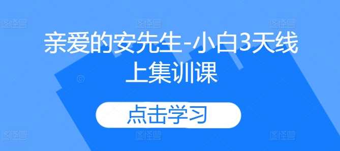 亲爱的安先生-小白3天线上集训课速创网赚项目-副业赚钱-互联网创业-资源整合速创园