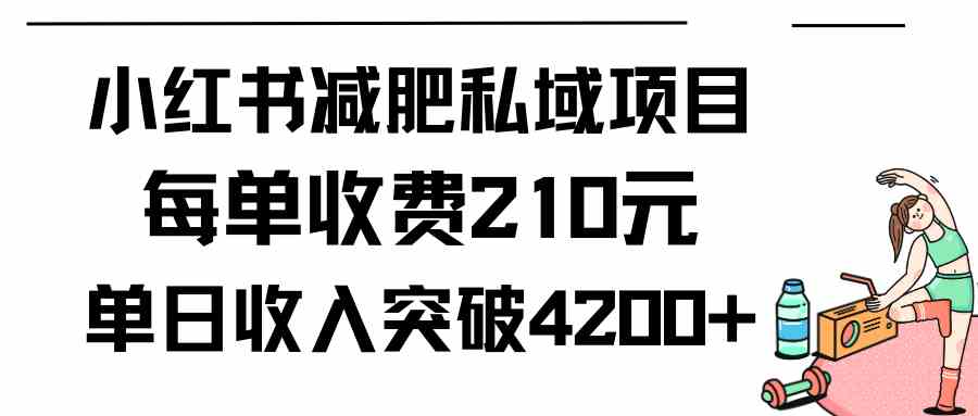 （9466期）小红书减肥私域项目每单收费210元单日成交20单，最高日入4200+速创网赚项目-副业赚钱-互联网创业-资源整合速创园