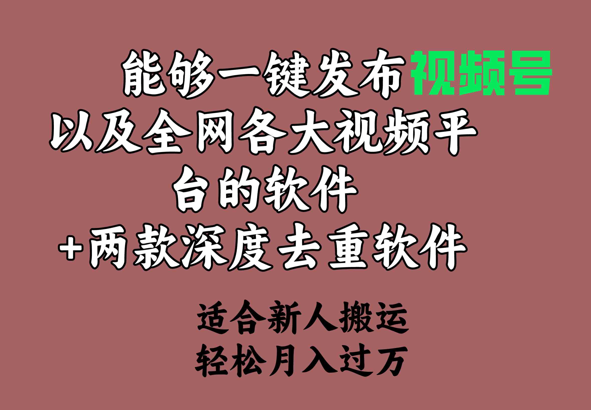 （9319期）能够一键发布视频号以及全网各大视频平台的软件+两款深度去重软件 适合…速创网赚项目-副业赚钱-互联网创业-资源整合速创园