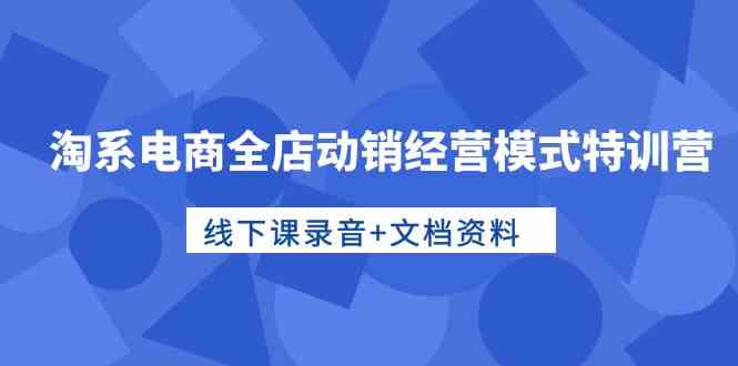 （10192期）淘系电商全店动销经营模式特训营，线下课录音+文档资料速创网赚项目-副业赚钱-互联网创业-资源整合速创园