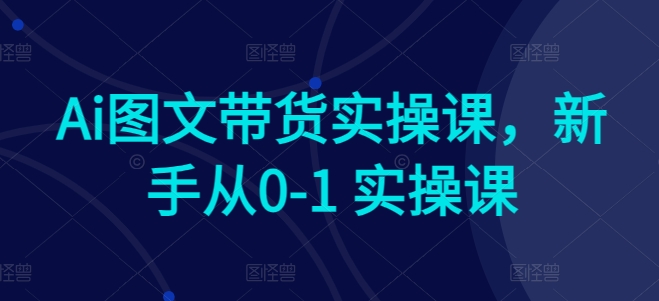 Ai图文带货实操课，新手从0-1 实操课速创网赚项目-副业赚钱-互联网创业-资源整合速创园
