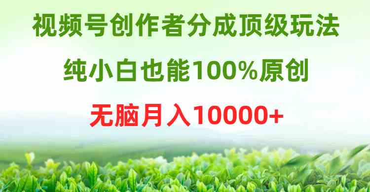 （9608期）视频号创作者分成顶级玩法，纯小白也能100%原创，无脑月入10000+速创网赚项目-副业赚钱-互联网创业-资源整合速创园