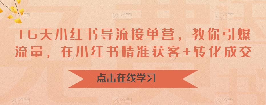 16天-小红书 导流接单营，教你引爆流量，在小红书精准获客+转化成交速创网赚项目-副业赚钱-互联网创业-资源整合速创园