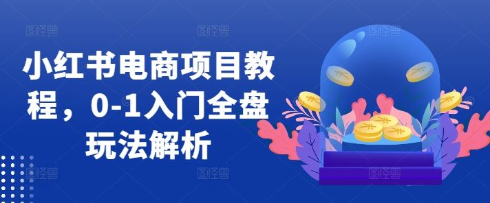 小红书电商项目教程，0-1入门全盘玩法解析速创网赚项目-副业赚钱-互联网创业-资源整合速创园