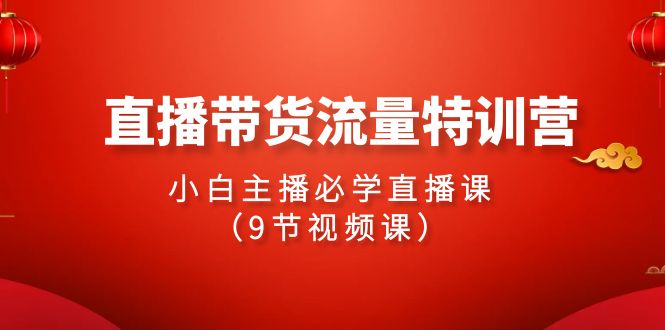 2024直播带货流量特训营，小白主播必学直播课（9节视频课）速创网赚项目-副业赚钱-互联网创业-资源整合速创园
