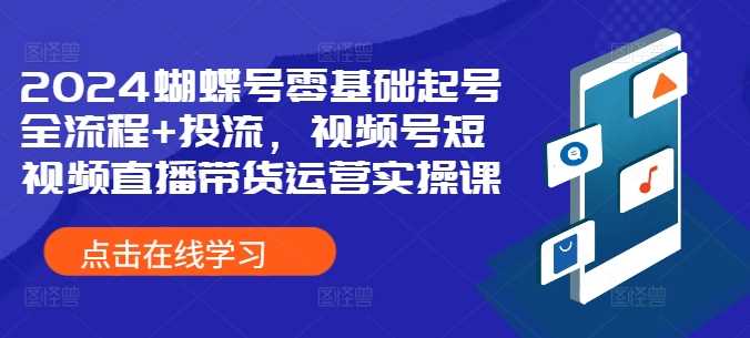 2024蝴蝶号零基础起号全流程+投流，视频号短视频直播带货运营实操课速创网赚项目-副业赚钱-互联网创业-资源整合速创园
