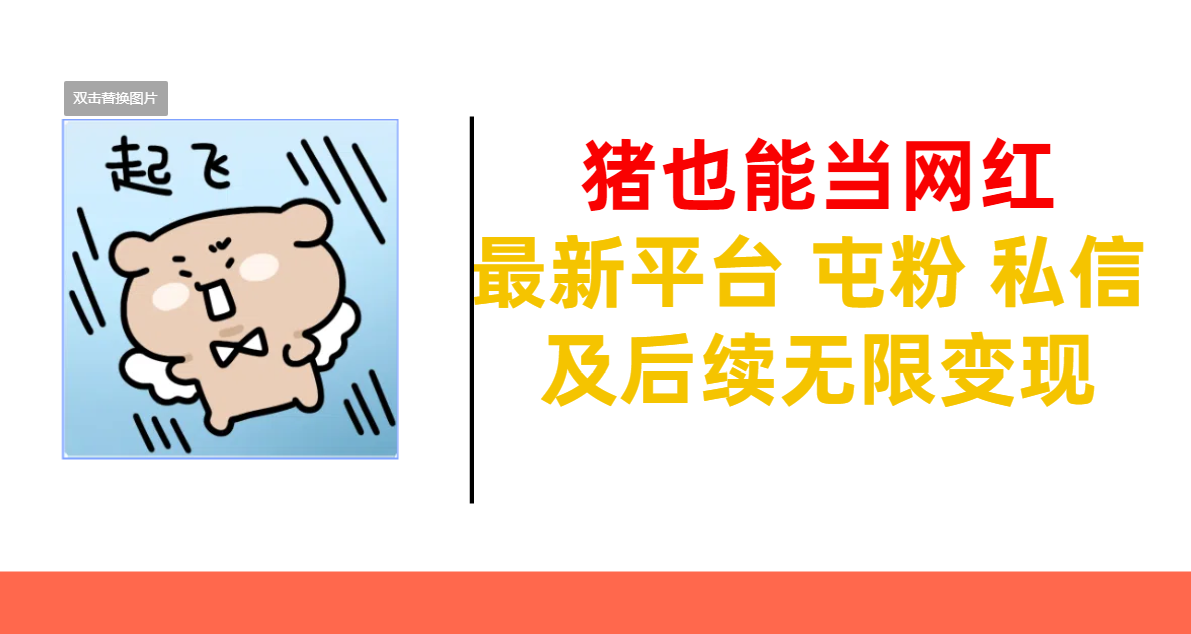 猪也能当网红-最新平台 屯粉 交流 私信 及后续无限变现速创网赚项目-副业赚钱-互联网创业-资源整合速创园