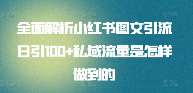 暴力引流 小红书图文引流日引100私域全面拆解【打粉人必看】速创网赚项目-副业赚钱-互联网创业-资源整合速创园