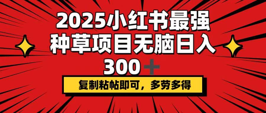 2025小红书最强种草项目，无脑日入300+，复制粘帖即可，多劳多得速创网赚项目-副业赚钱-互联网创业-资源整合速创园